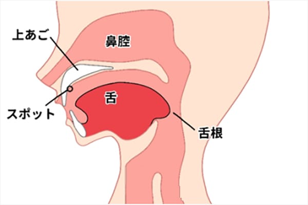 ボイトレ_歌うときの舌